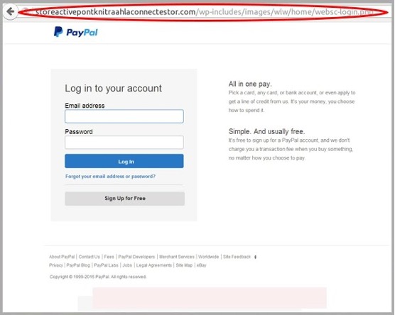 Paypal fake bank account